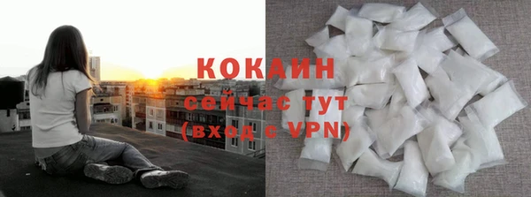 прущая мука Инта