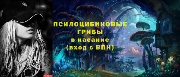 прущая мука Инта