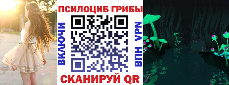 Галлюциногенные грибы Psilocybe  OMG tor  Ессентуки  цена наркотик 
